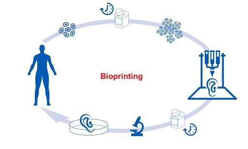 3 d-bioprinting-how-does-3d-bioprinting-work